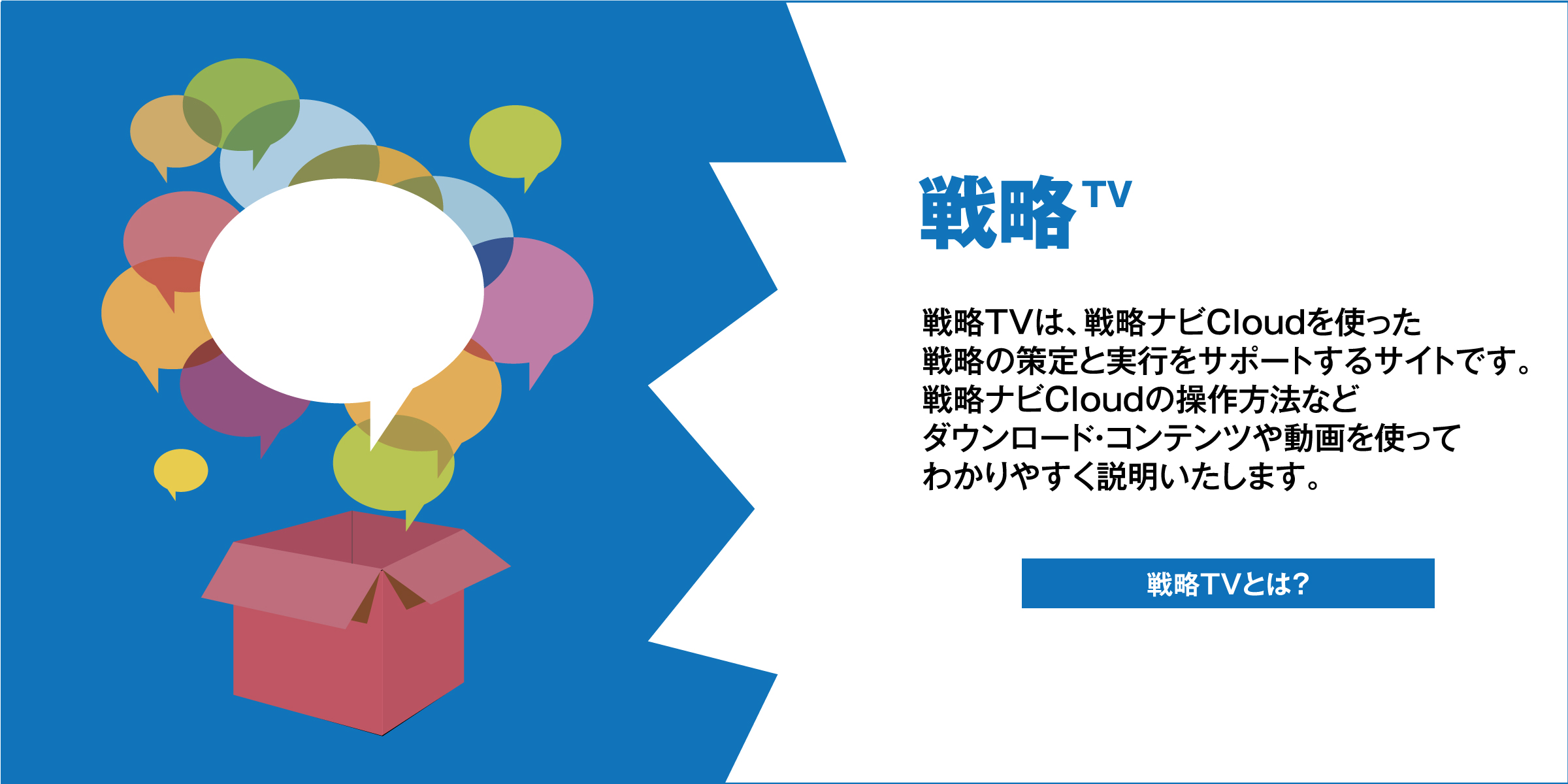 戦略TVとは？